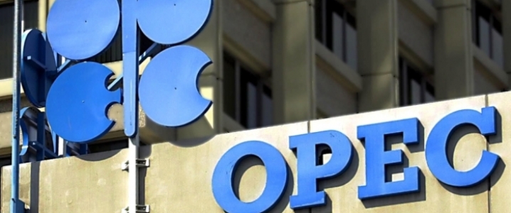 OPEP reducirÃ­a producciÃ³n para diciembre; analizan 2019